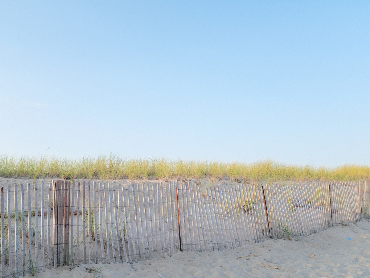 Preparing for Transplant: The&nbsp;Testing