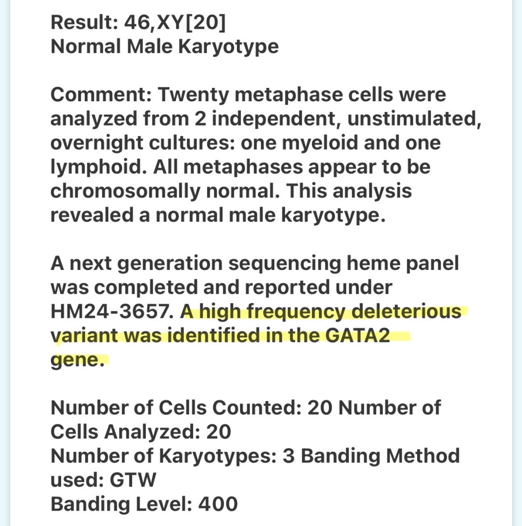Bone marrow biopsy cytogenetic result
