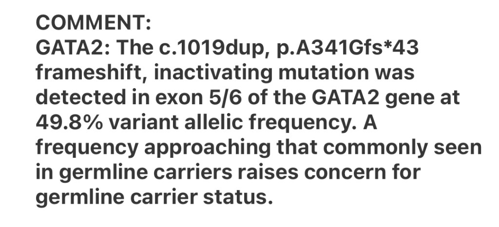Bone marrow biopsy results from December 2024