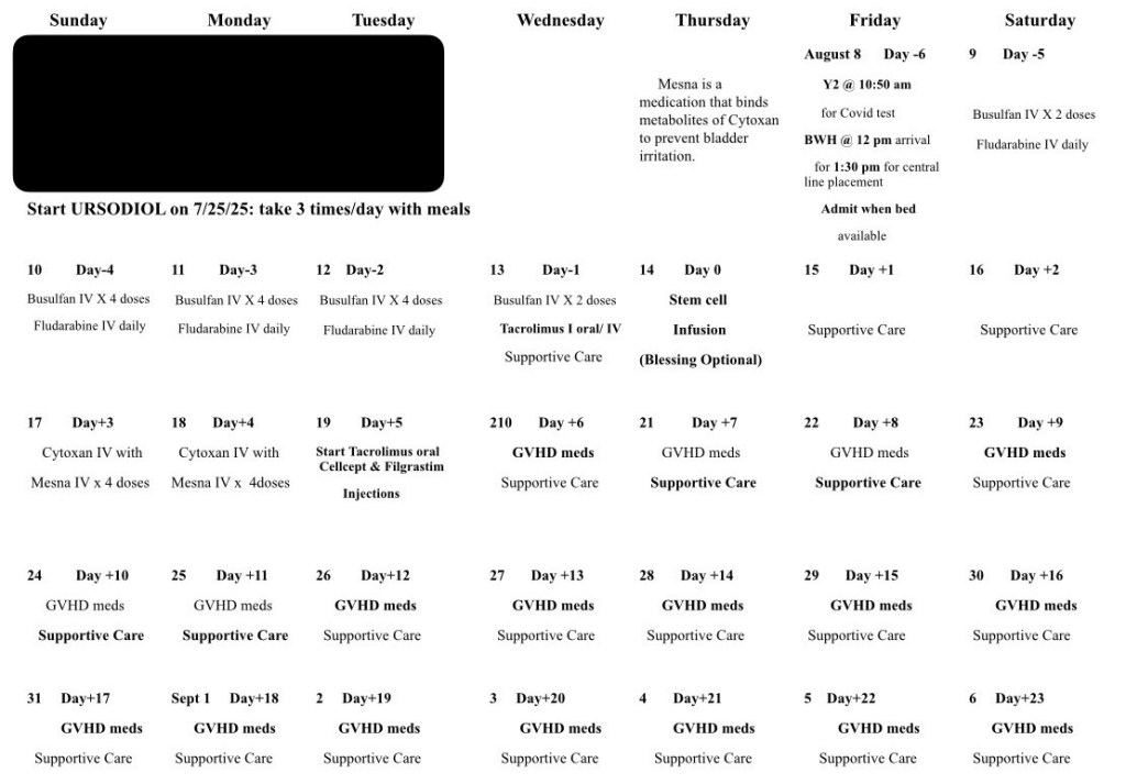 Treatment calendar
