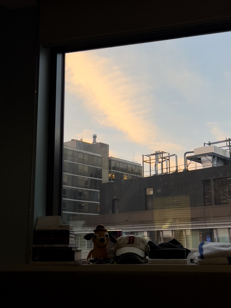 The view from my room