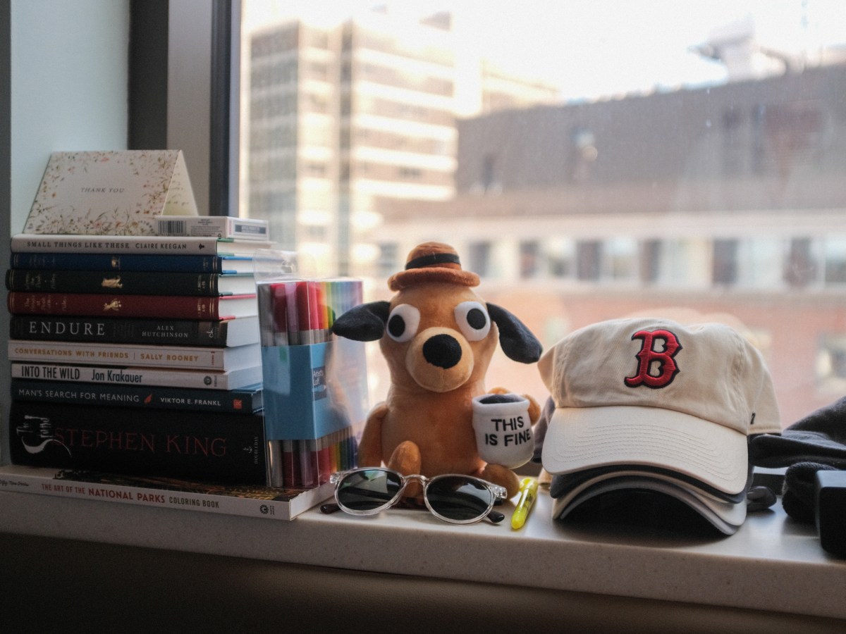 Field Note 03: Days +4 to&nbsp;+10