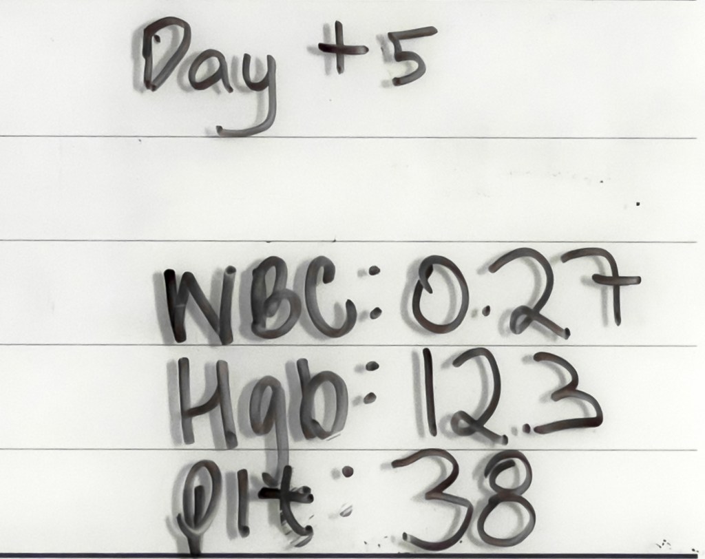 day +5 cell counts