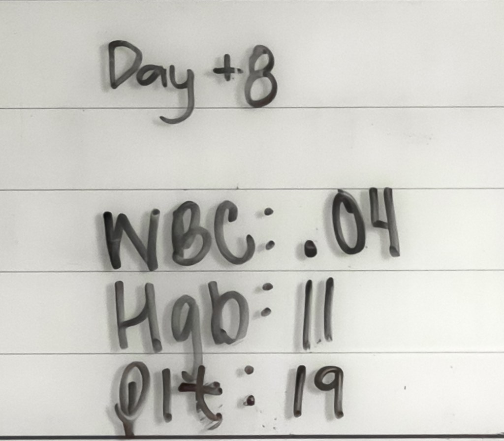 day +8 cell counts