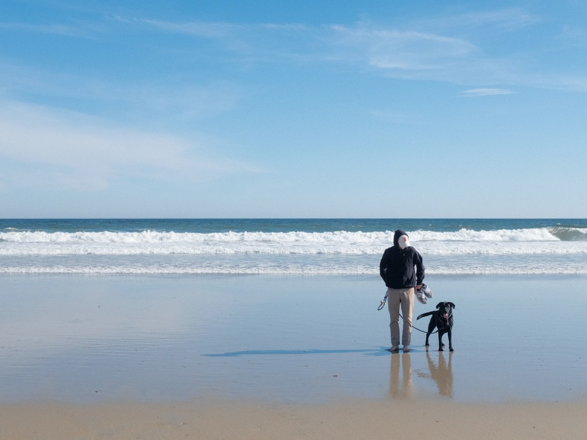 Field Note 07: Days +32 to&nbsp;+50