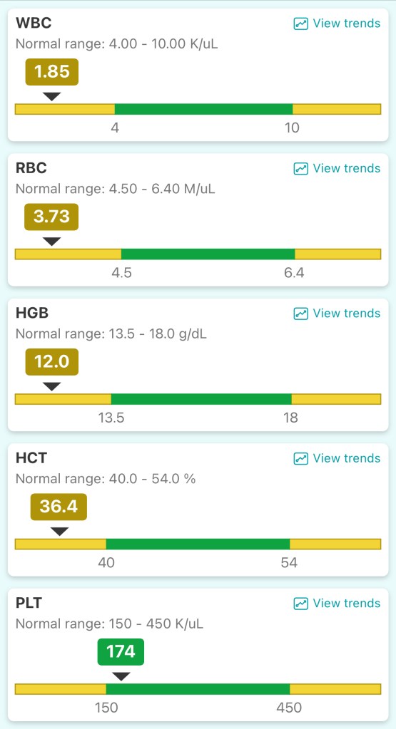 Day + 36 Cell Counts
