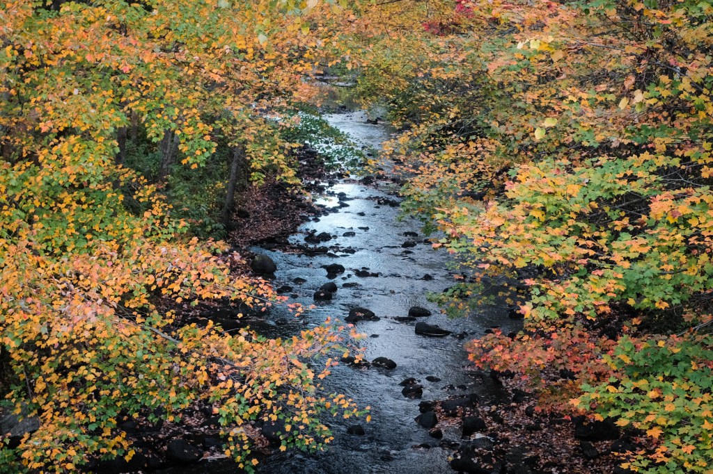 Fall foliage in rural Connecticut
