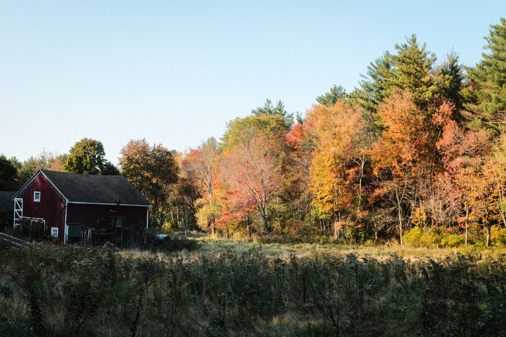 Fall foliage in rural Connecticut