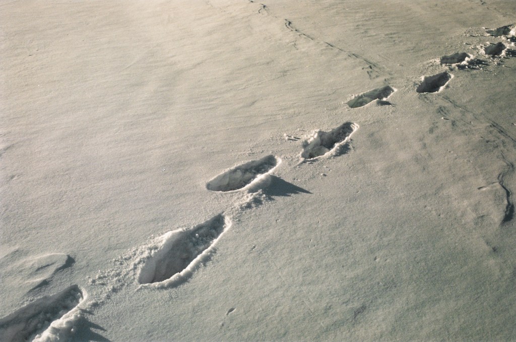 Snowy scene in Manchester, Connecticut 