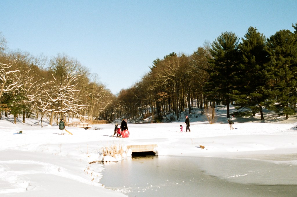 Snowy scene in Manchester, Connecticut 