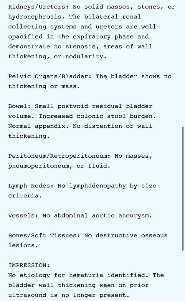 Day +127 CT scan results
