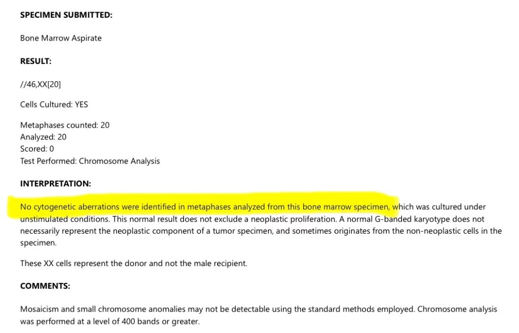 Day +99 cytogenetics karyotype report