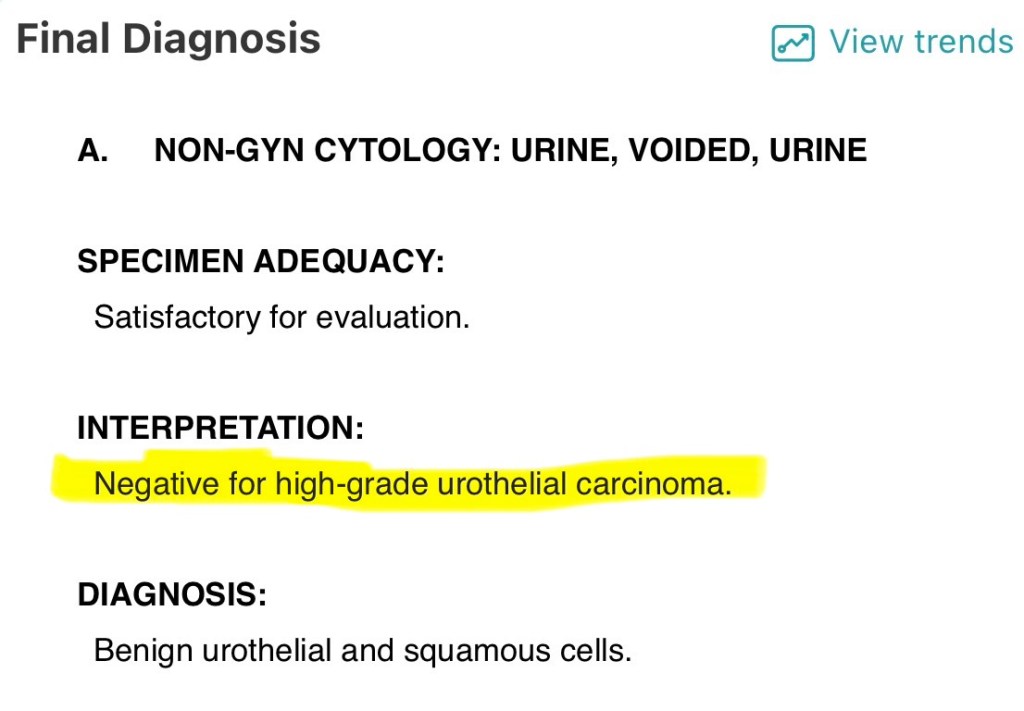 Day +116 urine cytology test results
