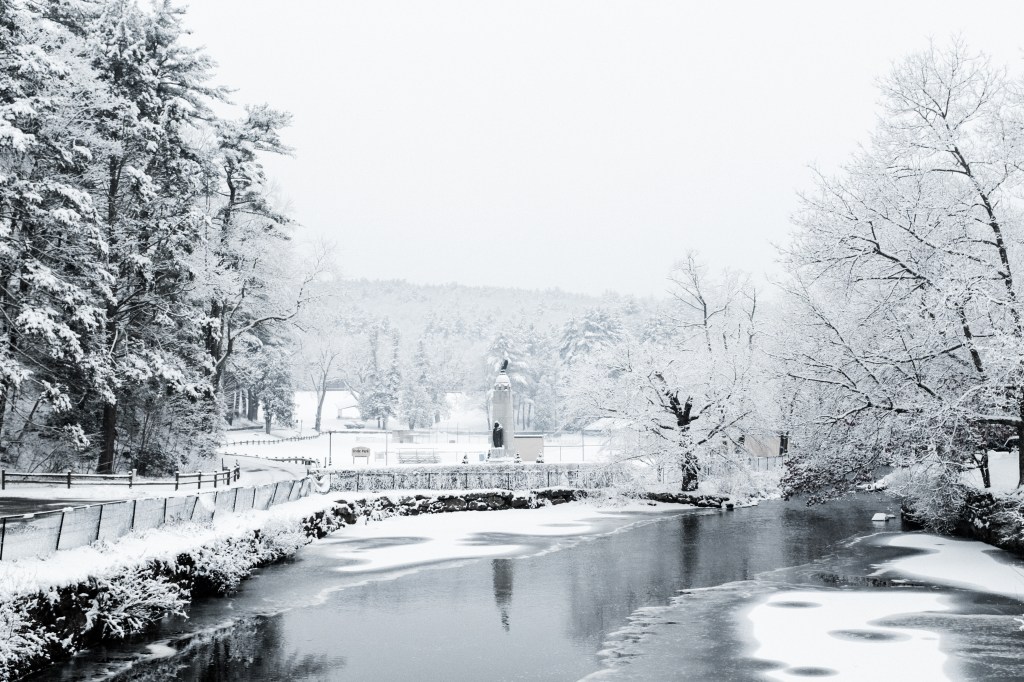 Snowy landscape photo