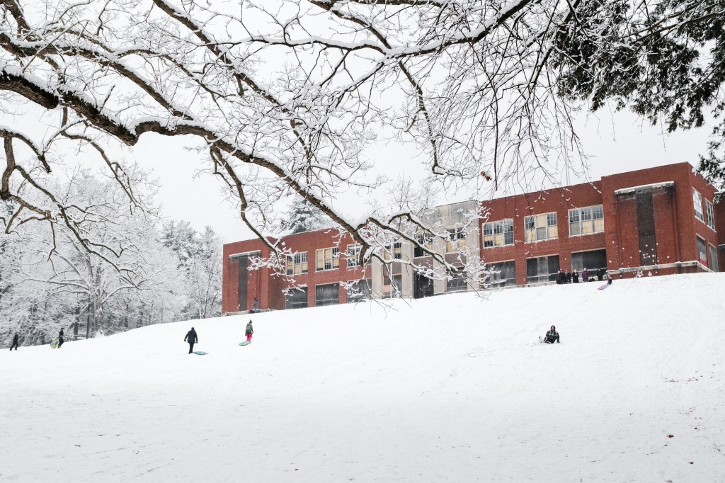 Field Note 11: Days +151 to&nbsp;+200