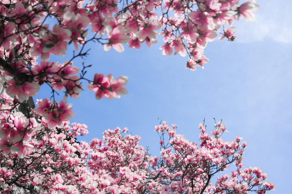 Field Note 12: Days +201 to&nbsp;+250