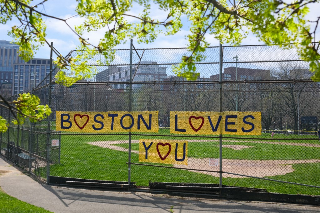 Spring blossoms in Boston