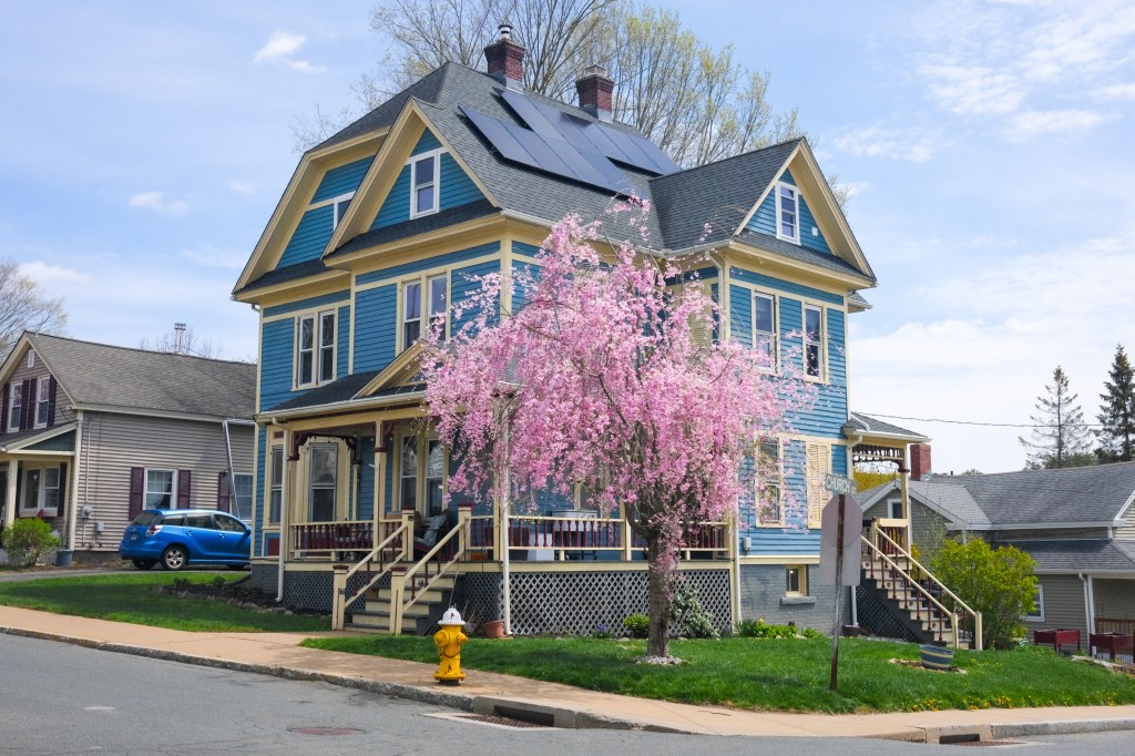 Spring blossoms in town