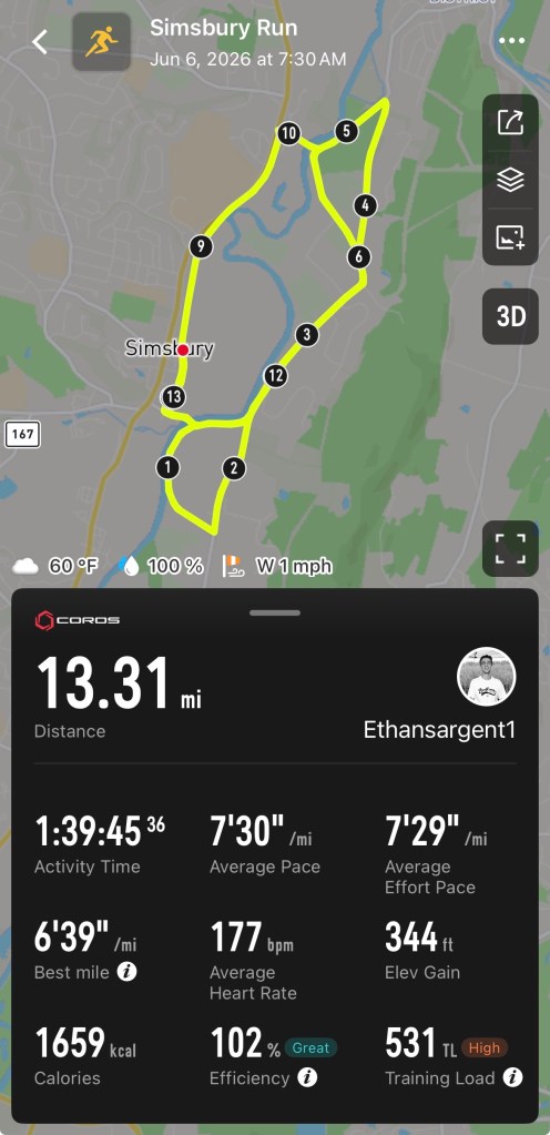 Half-marathon data overview