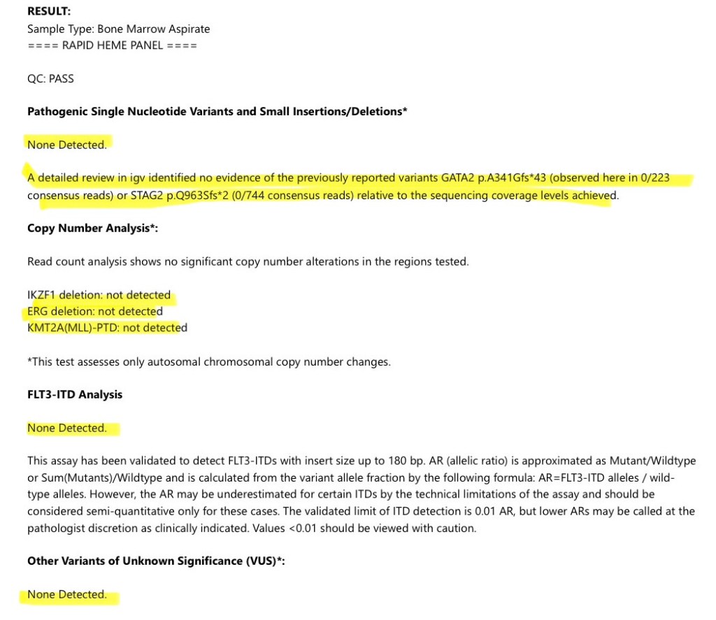 Rapid Heme Panel Results - Day +369