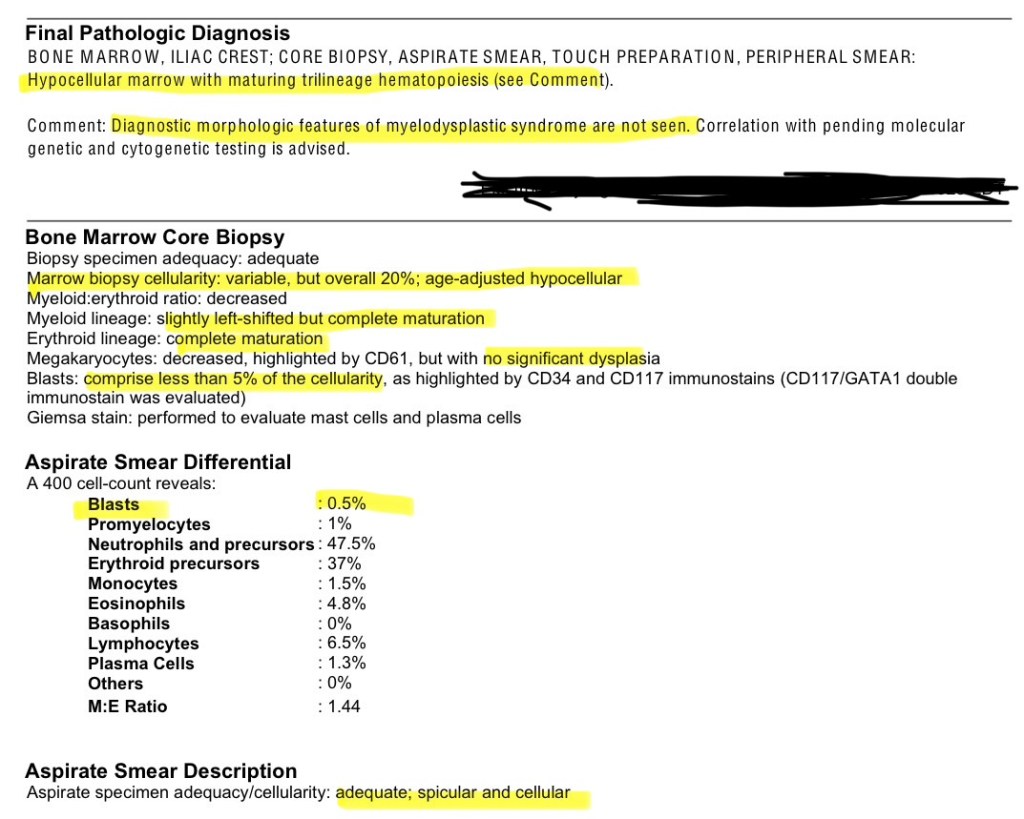 Pathology Results - Day +369